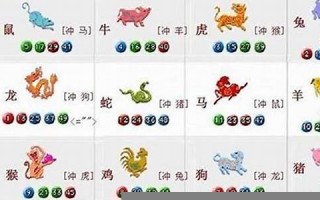 笑谈人生是什么生肖(笑谈人生的说说)