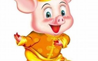属猪(属猪三合和三冲属相)