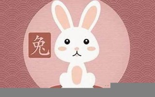 兔和什么属相最配(相克相冲呢)