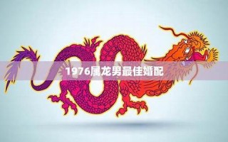 属龙男的最佳婚配(属龙男的最佳婚配对象是什么属相)