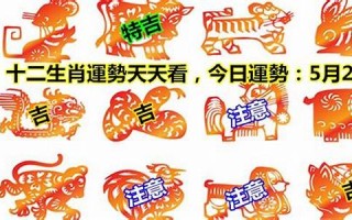 十二生肖运程(十二生肖运程2024年运势运程)