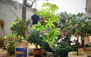 梦见去世的外公(女人梦见已故的外公什么预兆)