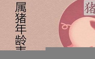 属猪今年多大年纪(属狗今年多大年纪)