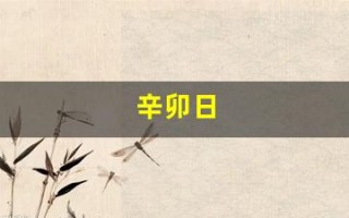 辛卯日(辛卯日柱女命)
