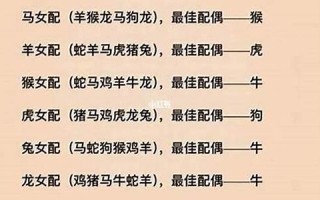 十二生肖的配对(十二生肖的配对与运势)
