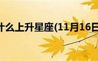 11月16日是什么星座(9月16日是什么星座)