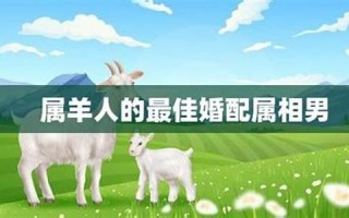 属羊男最佳婚配(属羊男最佳婚配属相表)