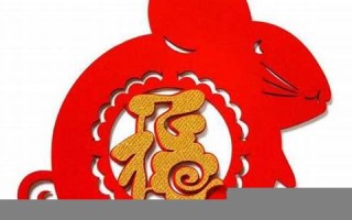 属鼠人出生月的命运(属鼠人子时出生的命运)