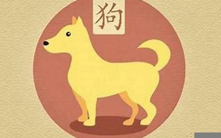 属狗人出生月的命运(属狗人出生月命运卜易居)