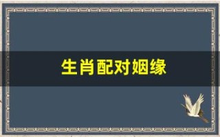 生肖配对姻缘(龙虎生肖配对姻缘)