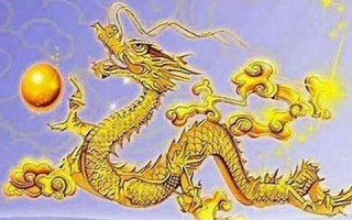 属龙的命运(2000年属龙的命运)