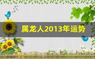 属龙人2013年运势(2013年属龙的幸运数字)