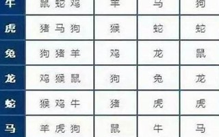 生肖配对指数(生肖配对指数高什么意思)