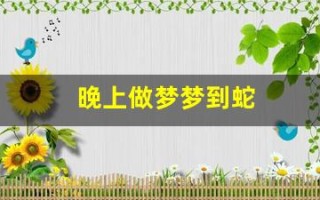 晚上做梦梦到蛇(晚上做梦梦见蛇好不好)