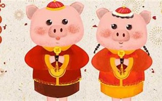 属猪人2022年全年运势及运程(属猪人2025年全年运势及运程)