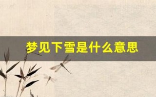 梦见下雪是什么意思(周公解梦梦见下雪是什么预兆)