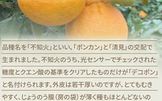 1月11日(1月11日是什么日子)