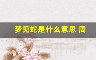梦见蛇是什么意思 周公解梦(梦见很多蛇是什么意思 周公解梦)
