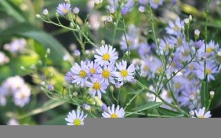 9月16日(9月16日出生的人)