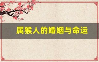 属猴人的婚姻与命运(属猴人的婚姻与命运十二生肖)