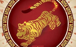 属虎人的婚姻与命运(属虎人的婚姻与命运相配吗)