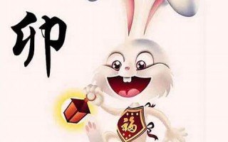 属兔的人2013年运程(属兔的2013年多大岁)