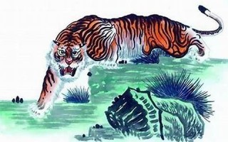 2013年属虎人的运程(2013年属虎人的运程如何)