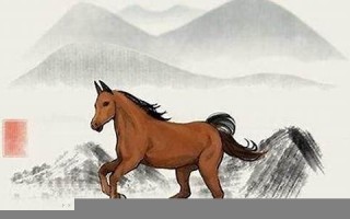 属马的2022年运势和财运怎么样(属鸡人2024年全年运势运程)