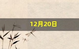 12月20日(12月20日出生的人)
