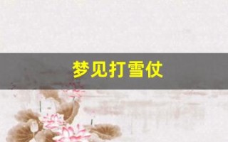 梦见打雪仗(梦见打雪仗)