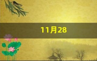 11月28(11月28什么星座是什么星座)