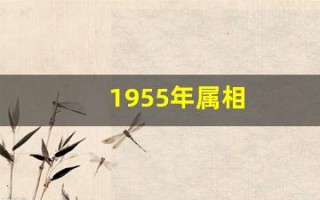 1955年属相(1955年是啥)