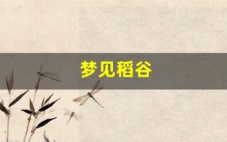 梦见稻谷(梦见稻谷是什么意思)
